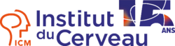 logo cerveau